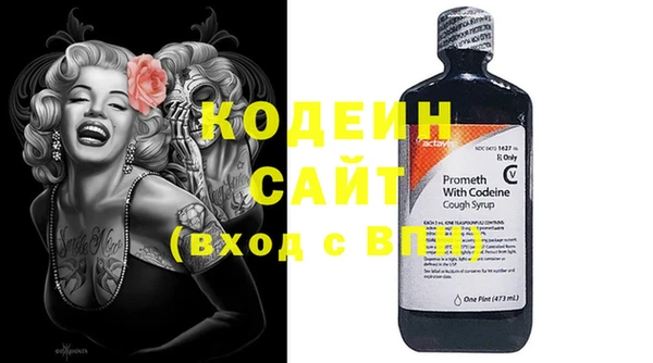 молекула духа Богданович