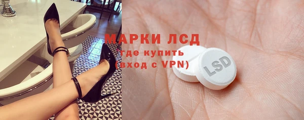 молекула духа Богданович
