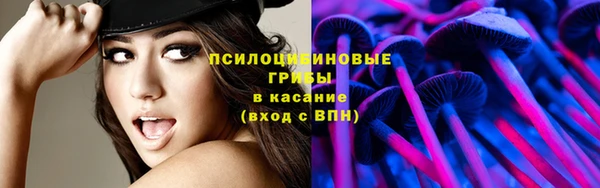 ALPHA PVP Богородицк