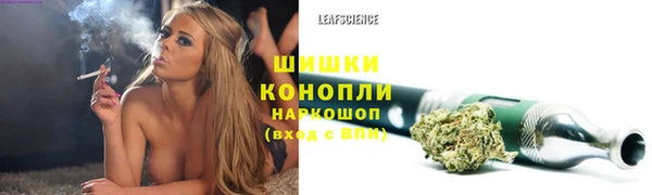 молекула духа Богданович