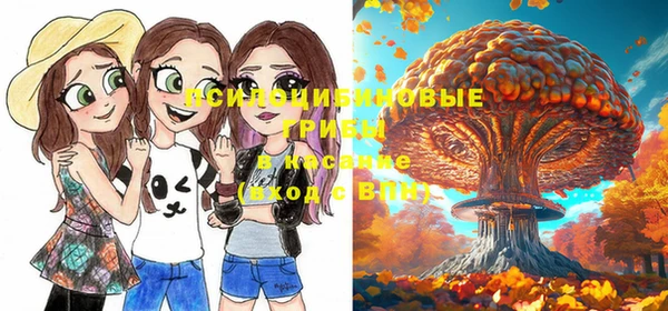 молекула духа Богданович