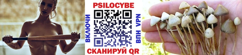 дарнет шоп  Тобольск  Псилоцибиновые грибы GOLDEN TEACHER 